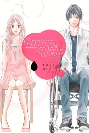 Perfect World