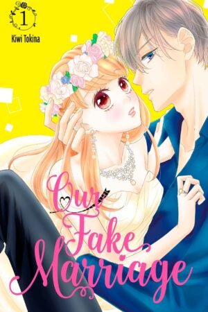 Our Fake Marriage