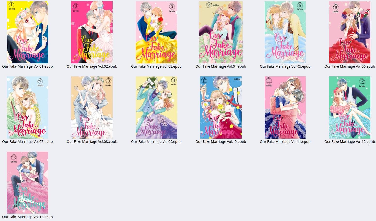 Our Fake Marriage - Image 2