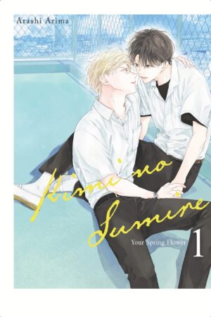 Kimi no Sumire