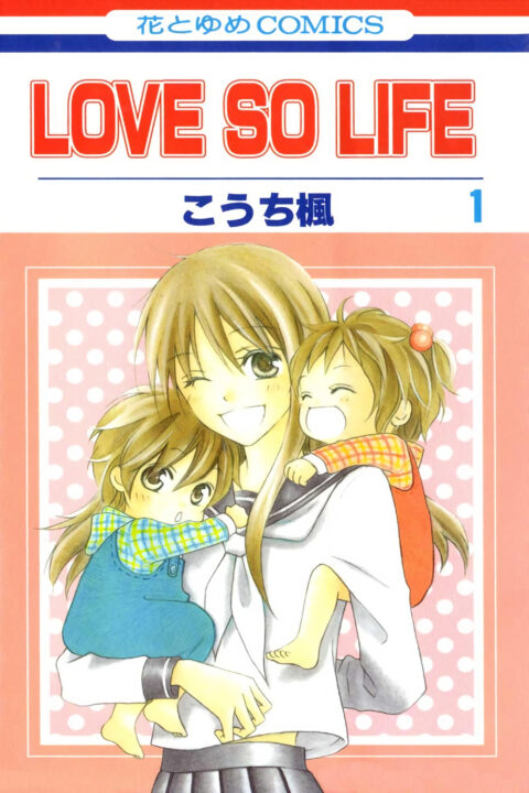 Love So Life